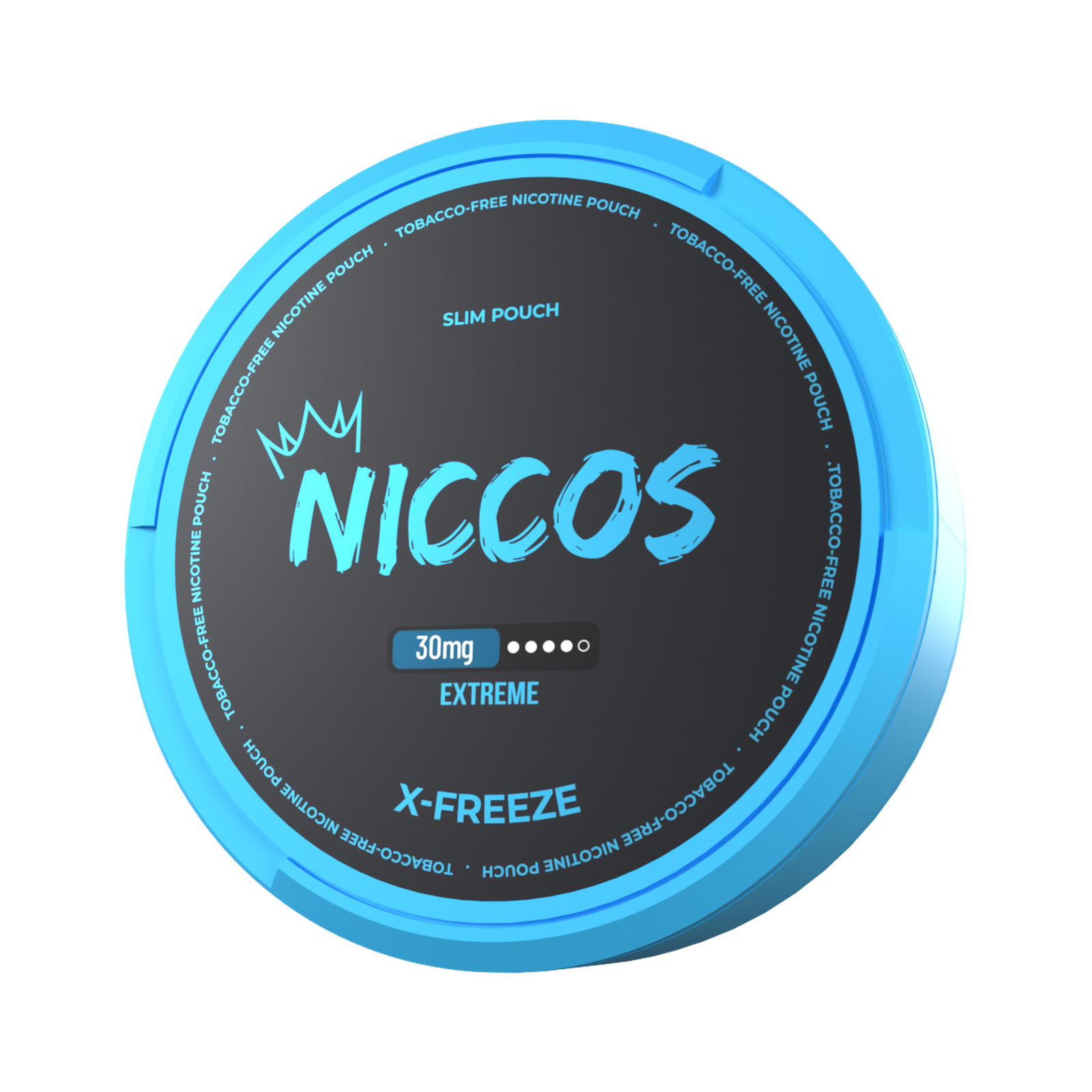 BLUEBERRY MINT